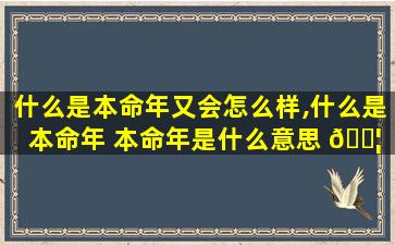 什么是本命年又会怎么样,什么是本命年 本命年是什么意思 🐦 命